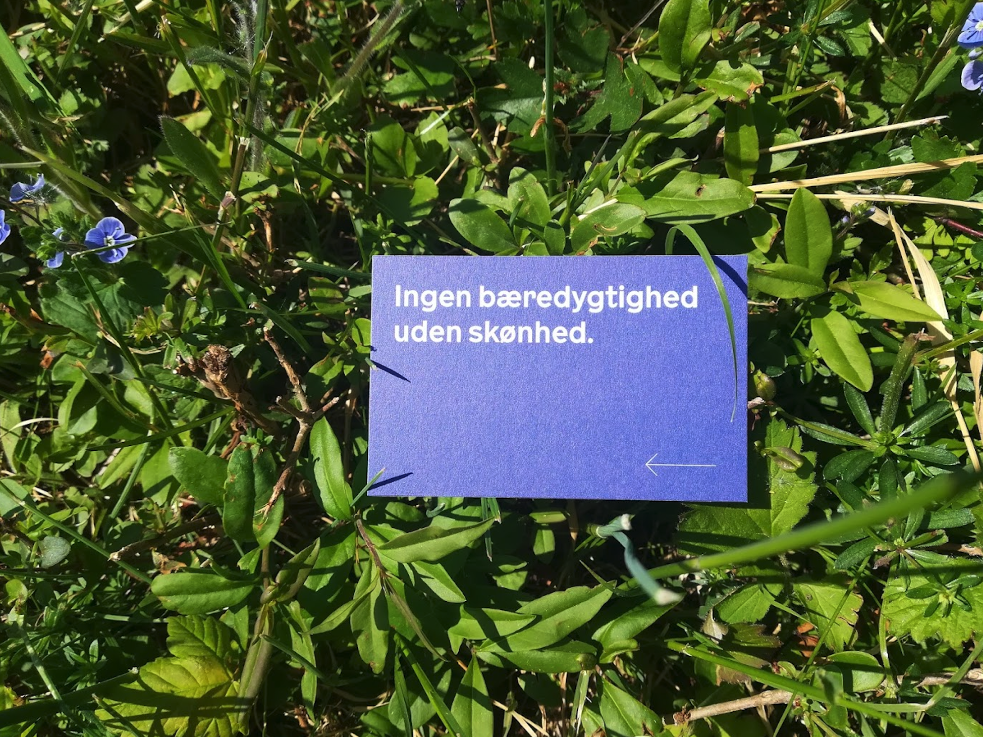 Vi deler værktøjer. Medlemsmøde nr. 1 i rækken: